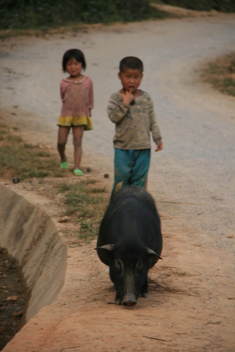 28. Des enfants jouant avec un bon gros cochon chinois.