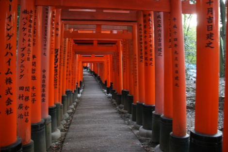 16. Des miliers de torii sous lesquels nous passons uns à uns.