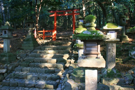 27. Passage sous un Tori au milieu des lanternes en pierre dans la forêt de Nara.