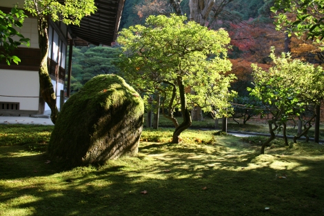 32. Soleil d'automne sur la mousse verdoyante qui entoure le Ginkaku-ji.
